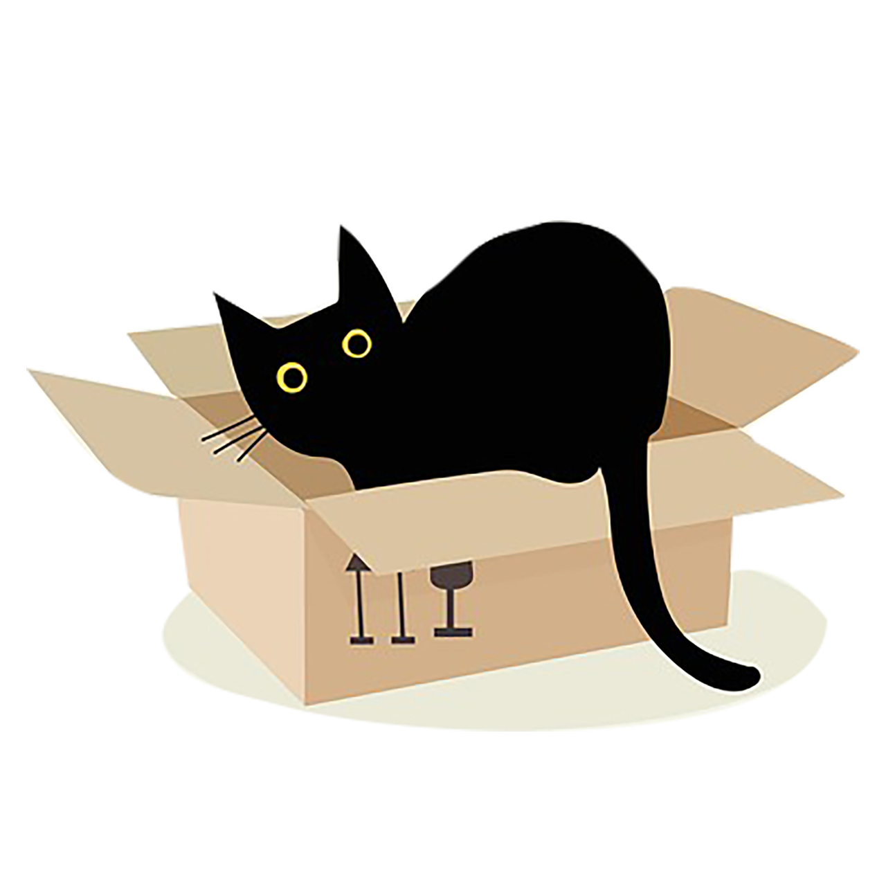 Portfolio Hero Image